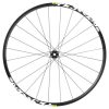 Roue VTT Disque Blocage 29" Mavic Crossride Avant Disque 6 Trous Jante 622-21