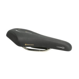 Selle Royal Lookin Evo Sport Athletic Gel Visible avec System Flex Noir 261x158mm 448g