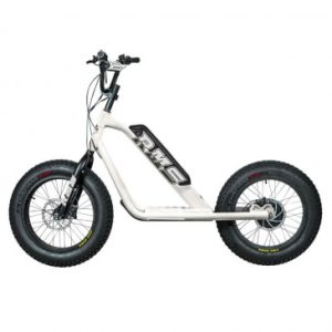 Trottinette Electrique Rms Bike 20f-x Blanc Ral 9010 Moteur 500 W Homologue Nf en 1476 (Dim 1