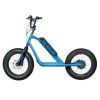 Trottinette Electrique Rms Bike 20f-x Bleu Ciel Ral 5015 Moteur 500 W Homologue Nf en 1476 (Dim 1