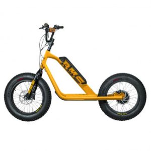 Trottinette Electrique Rms Bike 20f-x Jaune Ral 1021 Moteur 500 W Homologue Nf en 1476 (Dim 1