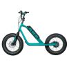 Trottinette Electrique Rms Bike 20f-x Vert D'eau Ral 5021 Moteur 500 W Homologue Nf en 1476 (Dim 1