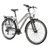 Velo Musculaire City Bike 28 Leader Fox Ferrara 2023 Femme Argent 8v Cadre 16