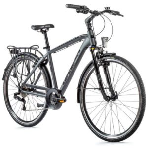 Velo Musculaire City Bike 28 Leader Fox Ferrara 2023 Homme Gris 8v (19'' - H48cm - Taille L - pour Adulte de 175cm à 183cm)