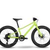 Vélo Enfant BMC Twostroke AL 20 V1 X4 1x8 vert/noir/argent - Taille 20 modèle 2023