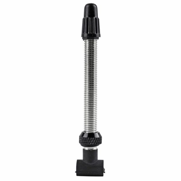 Valve De Pneu Tubeless Presta Dt Swiss Route-Vtt R6.5 53 Mm Alu Argent Obus Demontable (Vendu A L'Unite)