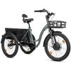 Tricycle Electrique-VAE City Leader Fox 24" Curtis X 2025 Mixte Gris Mat 8v Shimano Nexus Moteur Roue Av Bafang 36v 45 Nm Batterie 16