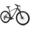 Velo Musculaire VTT 29 Leader Fox Evolution 2025 Mixte Gris Anthracite Mat 8v Cadre 20 Pouces (Taille Adulte 180 À 188 Cm)