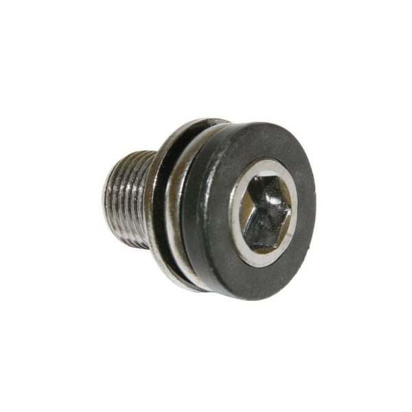 Vis de Boitier de Pedalier Algi 12X100 (00343000) (Vendu A L'Unite)